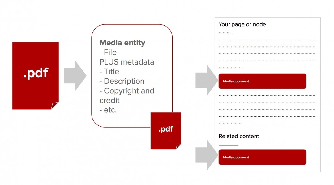 Diagram of a file insert or embed using media.
